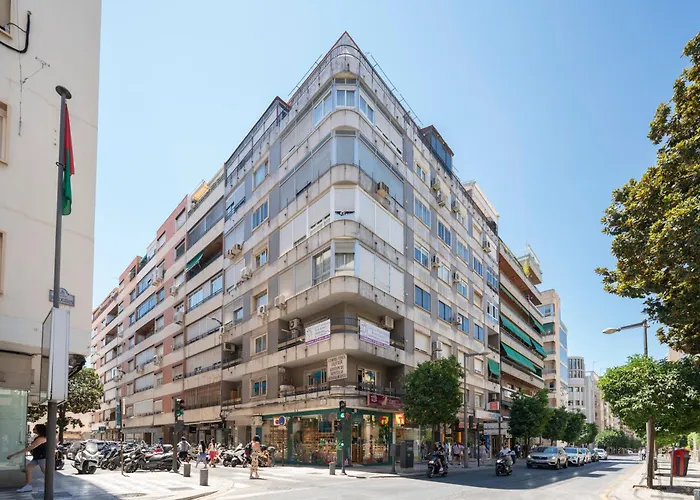 EnjoyGranada RECOGIDAS HOMES
